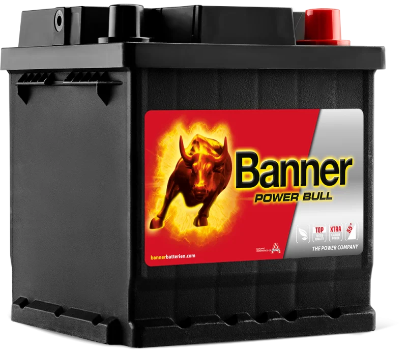 Banner Power Bull Car Battery P4208