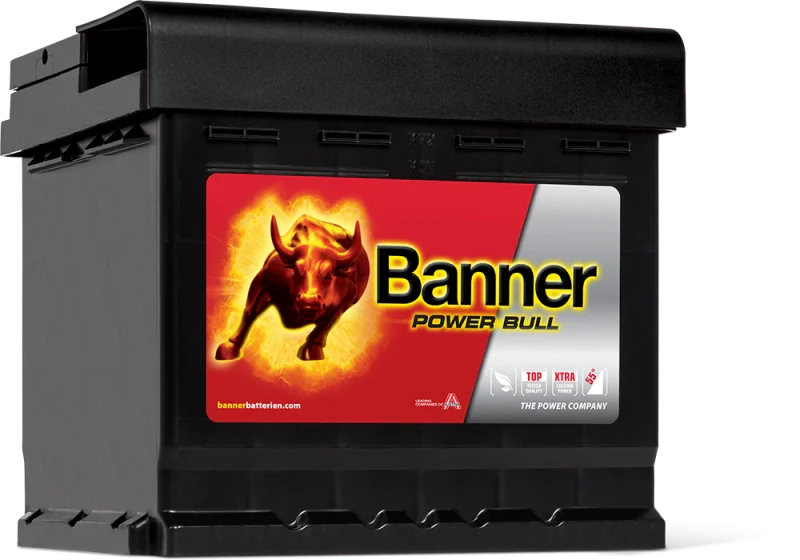 063 Banner Power Bull Car Battery P4409