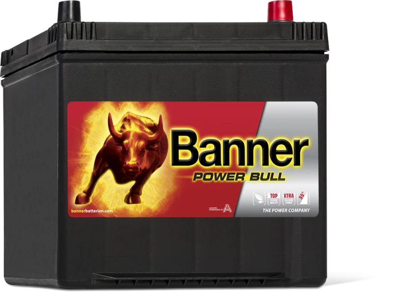 Banner P6068 SMF Battery 580 CCA 65Ah